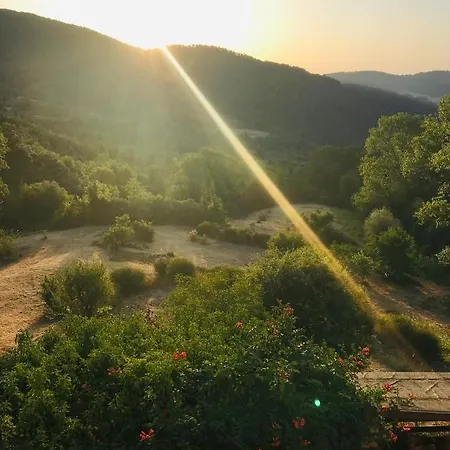 Holiday home Authentic Tuscan - Entire House - Exclusive Use Sassofortino